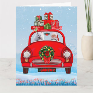 Amerikaanse eskimo-hond in auto's met kerstbedekki kaart