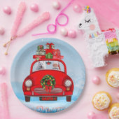 Amerikaanse eskimo-hond in auto's met kerstbedekki papieren bordje (Feest)