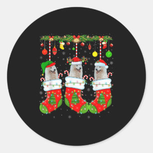 Amerikaanse Eskimo-hond in kerstsokken Grappige ho Ronde Sticker