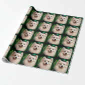Amerikaanse Eskimo-hond in St. Patrick's Day Dress Cadeaupapier (Uitgerold)