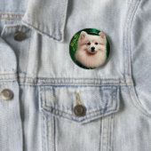 Amerikaanse Eskimo-hond in St. Patrick's Day Dress Ronde Button 5,7 Cm (In situ)