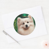 Amerikaanse Eskimo-hond in St. Patrick's Day Dress Ronde Sticker (Envelop)