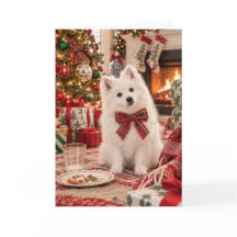 Amerikaanse Eskimo-hond kerstkaart