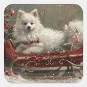 Amerikaanse Eskimo-hond Kerstmis Festief Vierkante Sticker (Voorkant)