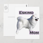 Amerikaanse Eskimo Hond Mam 4 Briefkaart (Voorkant / Achterkant)