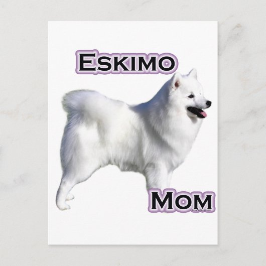 Amerikaanse Eskimo Hond Mam 4 Briefkaart (Voorkant)