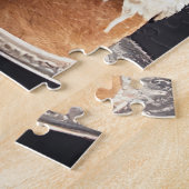 Amerikaanse eskimo-hond met ballonnen verjaardag legpuzzel (Zijkant)