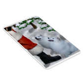 Amerikaanse Eskimo hond met Kerstmis Magneet (Rechterzijde)