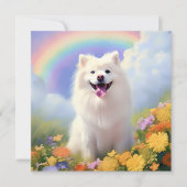 Amerikaanse Eskimo Hond Rainbow Bridge Aangepaste  (Voorkant)