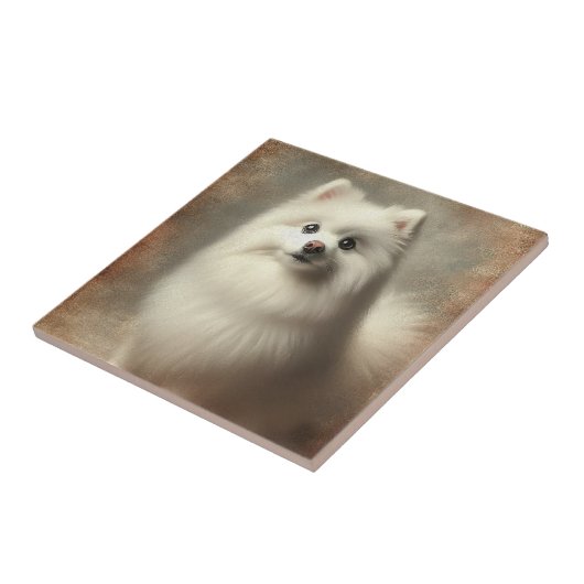 Amerikaanse Eskimo-hond Tegeltje (Zijkant)