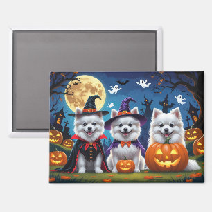 Amerikaanse Eskimo Honden Pompoen Halloween Grappi Magneet