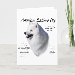 Amerikaanse Eskimo hondengeschiedenis; Alles over  Feestdagen Kaart
