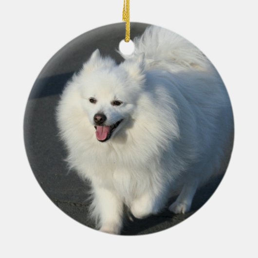 Amerikaanse Eskimo-hondensieraad Keramisch Ornament (Achterkant)