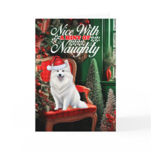 Amerikaanse Eskimo Kersthond Ondeugend of Nice