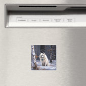 Amerikaanse Eskimo laat het sneeuwen Kerstmis Magneet (Insitu (Vaatwasser))