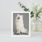 Amerikaanse Eskimo Puppy Dog Briefkaart (Staand voorkant)