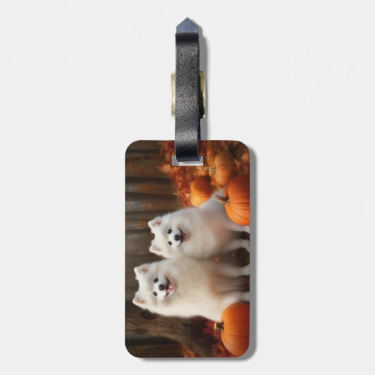 Amerikaanse Eskimo Puppy Herfst Delight Pompoen Bagagelabel (Achterkant verticaal)