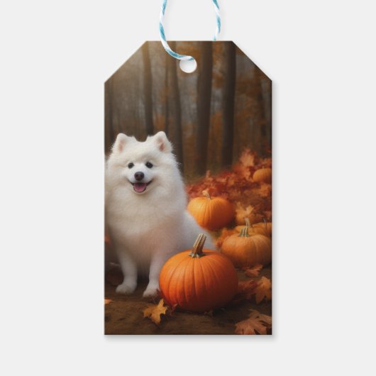 Amerikaanse Eskimo Puppy Herfst Delight Pompoen Cadeaulabel (Voorkant)