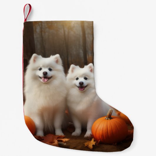 Amerikaanse Eskimo Puppy Herfst Delight Pompoen Kleine Kerstsok (Voorkant)