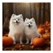 Amerikaanse Eskimo Puppy Herfst Delight Pompoen Perfect Poster (Voorkant)
