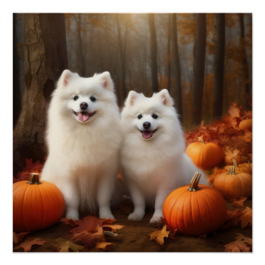 Amerikaanse Eskimo Puppy Herfst Delight Pompoen Perfect Poster (Voorkant)