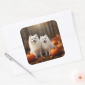Amerikaanse Eskimo Puppy Herfst Delight Pompoen Vierkante Sticker (Envelop)