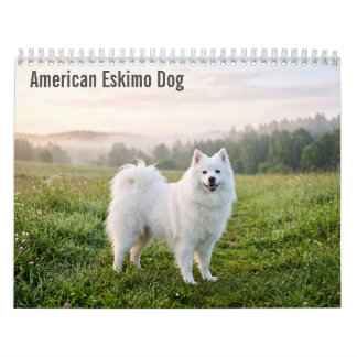 Amerikaanse Eskimohond 2027 Muurkalender Kalender