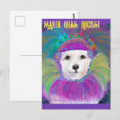 Amerikaanse Eskimohond Briefkaart (Voorkant / Achterkant)