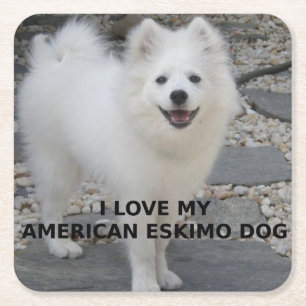 Amerikaanse_Eskimohond_liefde met foto Kartonnen Onderzetters