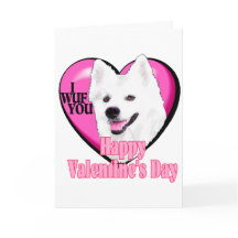 Amerikaanse EskimoHond Valentijns
