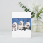 Amerikaanse Eskimopuppykaart Briefkaart (Staand voorkant)