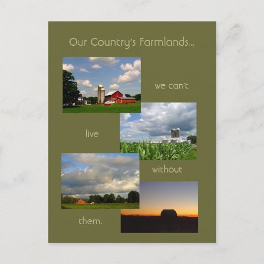 Amerikaanse Farmlands 1 foto-briefkaart Briefkaart (Voorkant)