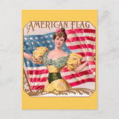 Amerikaanse Flag Lady Liberty Independence Briefkaart (Voorkant)