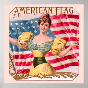 Amerikaanse Flag Lady Liberty Independence Poster