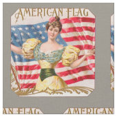 Amerikaanse Flag Lady Liberty Independence Stof (Close Up)