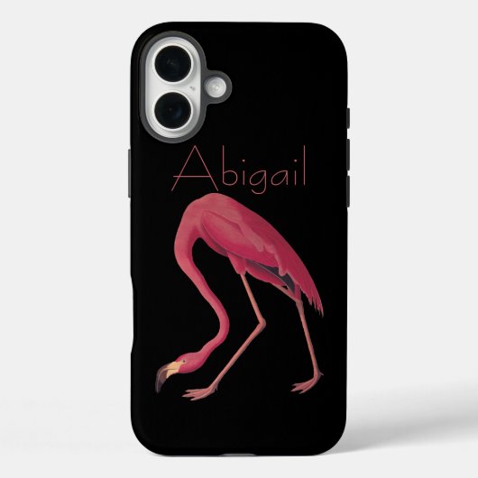 Amerikaanse Flamingo  Audubon Birds of America Case-Mate iPhone Case (Achterkant)