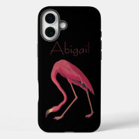 Amerikaanse Flamingo  Audubon Birds of America