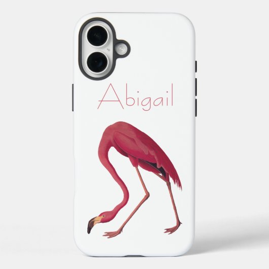 Amerikaanse Flamingo Audubon Birds of America Case-Mate iPhone Case (Achterkant)