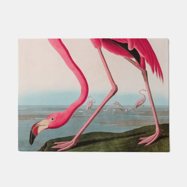 Amerikaanse Flamingo Birds of America Audubon Prin Deurmat (Voorkant)