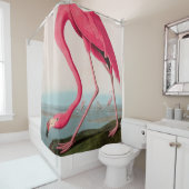 Amerikaanse Flamingo Birds of America Audubon Prin Douchegordijn (In situ)