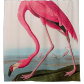 Amerikaanse Flamingo Birds of America Audubon Prin Douchegordijn (Voorkant)