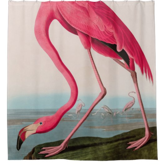Amerikaanse Flamingo Birds of America Audubon Prin Douchegordijn (Voorkant)