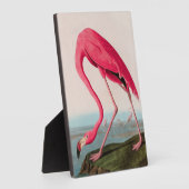 Amerikaanse Flamingo Birds of America Audubon Prin Fotoplaat (Zijkant)