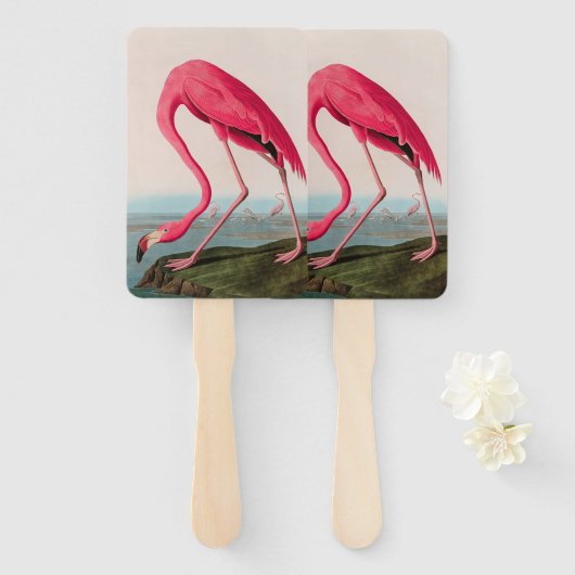 Amerikaanse Flamingo Birds of America Audubon Prin Handwaaier (Voorkant en achterkant)