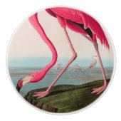 Amerikaanse Flamingo Birds of America Audubon Prin Keramische Knop (Voorkant)
