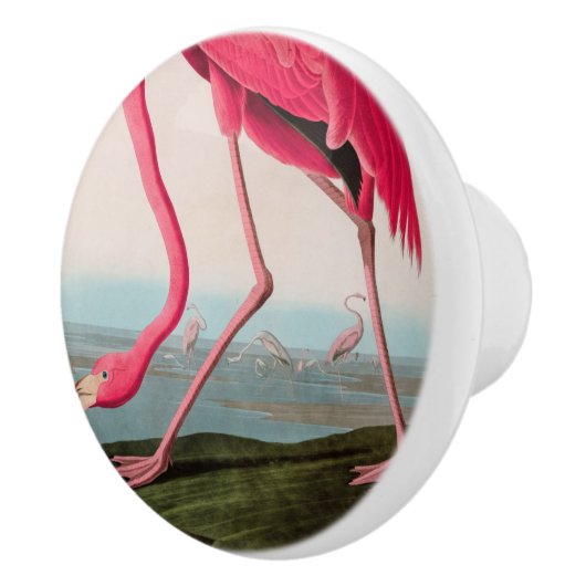 Amerikaanse Flamingo Birds of America Audubon Prin Keramische Knop (Rechts)
