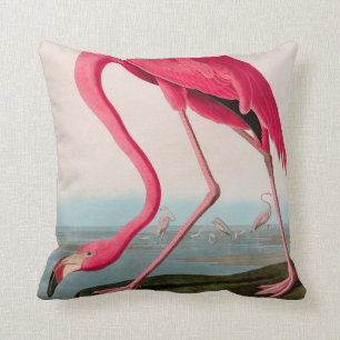 Amerikaanse Flamingo Birds of America Audubon Prin Kussen