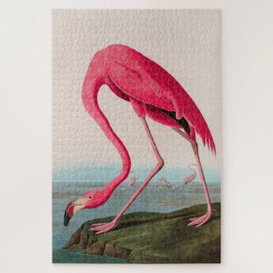 Amerikaanse Flamingo Birds of America Audubon Prin Legpuzzel