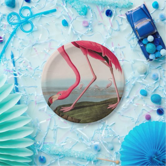 Amerikaanse Flamingo Birds of America Audubon Prin Papieren Bordje (Feest)