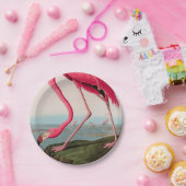 Amerikaanse Flamingo Birds of America Audubon Prin Papieren Bordje (Feest)